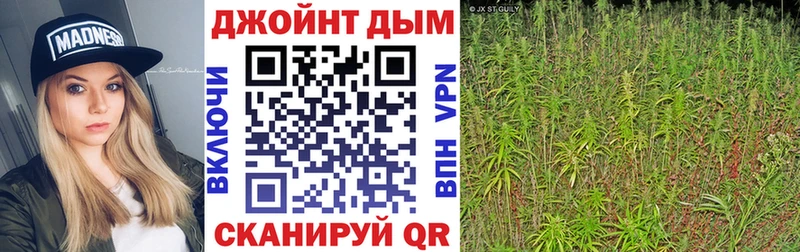 Бошки Шишки планчик  Гусь-Хрустальный 